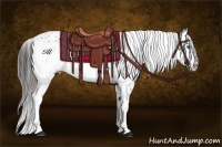 Horse Color:Liver Chestnut Frame