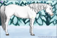 Horse Color:Liver Chestnut Frame Blanket 
