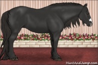 Horse Color:Liver Chestnut Frame 