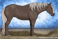 Horse Color:Silver Black 