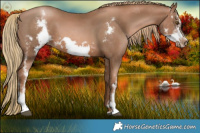 Horse Color:Liver Chestnut Pearl Sabino Frame 