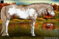 Horse Color:Liver Chestnut Pearl Sabino Frame