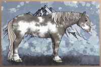 Horse Color:White Spotted Silver Black Sabino Frame 