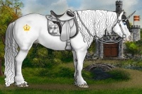 Horse Color:Grullo Splash Tobiano 