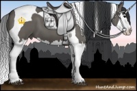 Horse Color:Grullo Splash Tobiano