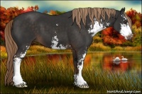 Horse Color:Liver Chestnut Sabino 