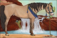 Horse Color:Amber Champagne 