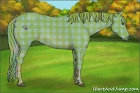 Horse Color:Watercolor Plaid  Chestnut 