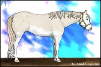 Horse Color:Smoky Creme Dun Splash 