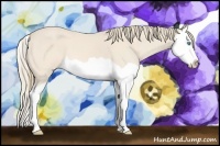 Horse Color:Perlino Splash