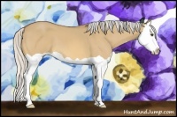 Horse Color:Silver Buckskin Dun Splash 