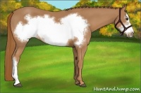 Horse Color:Chestnut Frame
