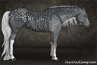 Horse Color:Silver Black Chinchilla