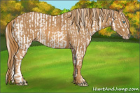 Horse Color:Gray Perlino  Brindle