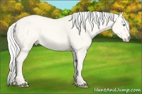 Horse Color:Silver Smoky Creme Dun
