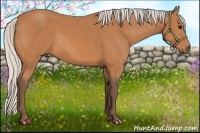 Horse Color:Silver Bay 