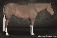 Horse Color:Silver Black 