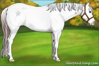 Horse Color:Bay Varnish Rabicano 