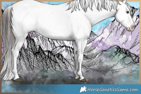 Horse Color:Liver Chestnut Tobiano Blanket 