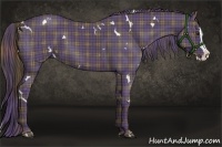 Horse Color:Plaid  White Spotted Liver Chestnut Splash 