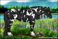 Horse Color:White Spotted Liver Chestnut Ice 