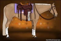 Horse Color:Palomino 