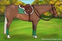 Horse Color:Silver Bay Roan 