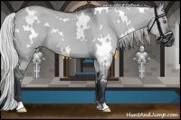 Horse Color:White Spotted Silver Grullo Chinchilla