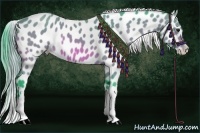 Horse Color:Watercolor Bay Appaloosa 