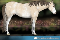 Horse Color:White Spotted Classic Cream Champagne Dun Rabicano 