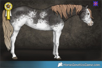 Horse Color:White Spotted Liver Chestnut Frame