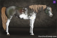 Horse Color:White Spotted Liver Chestnut Frame