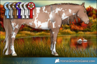 Horse Color:White Spotted Brown Pearl Mushroom 