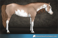 Horse Color:White Spotted Liver Chestnut Pearl 