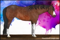 Horse Color:Bay  Brindle