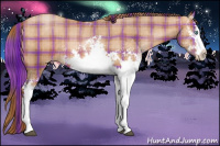 Horse Color:Plaid  White Spotted Bay Pearl 