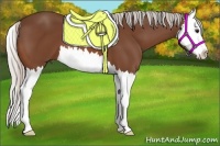 Horse Color:Silver Bay Splash 