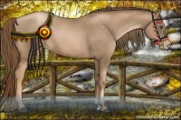 Horse Color:Liver Chestnut Pearl 