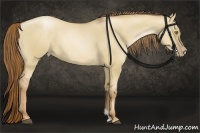 Horse Color:Liver Red Dun Pearl