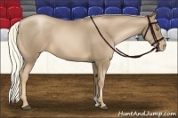 Horse Color:Liver Chestnut Pearl 