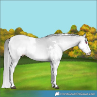 Horse Color:White Spotted Blue Onyx Chinchilla Pearl Splash Tobiano 