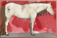 Horse Color:Liver Red Dun Ice Pearl 