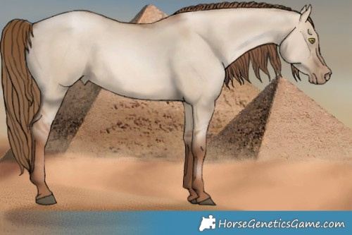 Horse Color:Liver Red Dun Pearl 