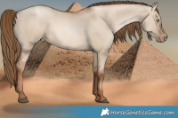 Horse Color:Liver Red Dun Pearl 