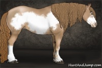 Horse Color:Liver Chestnut Pearl Frame 