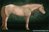 Horse Color:Liver Chestnut Pearl 