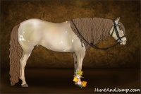 Horse Color:White Spotted Liver Chestnut Pearl 