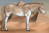 Horse Color:White Spotted Liver Chestnut Pearl 