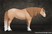 Horse Color:Bay Pearl Sabino Splash Rabicano 