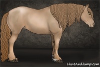 Horse Color:Liver Chestnut Pearl 